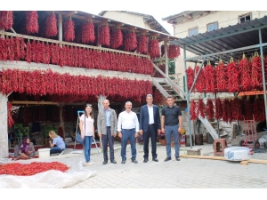 150 Yıldır Aynı Tohumdan Acı Kırmızı Biber Üretip Kurutuyorlar