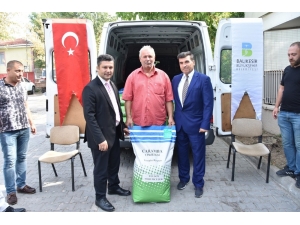 Çiftçiye Büyükşehirden Yemlik Tohum