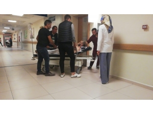 Ceviz Toplarken Düşen Adam Ölümden Döndü