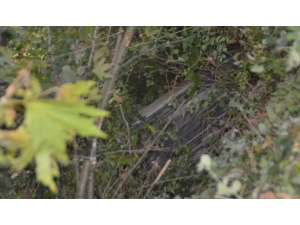 Ağaçlar Otomobilin Irmağa Uçmasını Engelledi