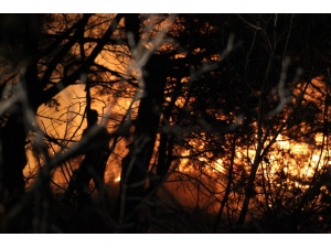 Alevler Hatay Semalarını Aydınlattı
