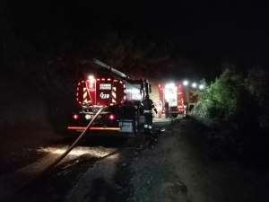 Beykoz Da Korkutan Orman Yangını