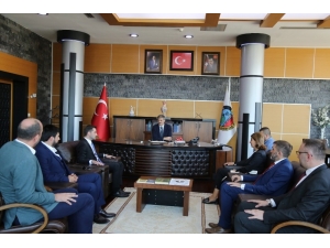 Sırbistan Boşnak Milli Konseyi Başkanı Dr. Jasmina Curic, Başkan Alemdar’a Ziyaret