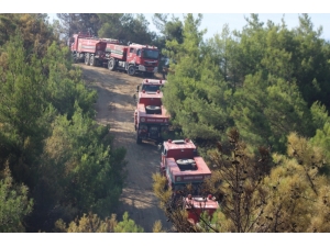 Hatay’da 25 Noktada Çıkan Yangında Soğutma Çalışmaları Sürüyor