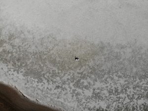 Akgöl, Sıcaklık Ve Kuraklıktan Kurudu