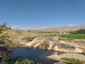 İnci Kefalinin Yaşamı Tehlike Altında