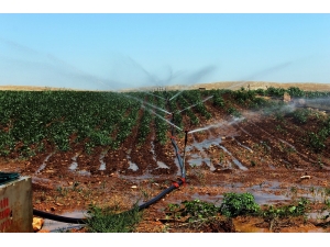 25 Sulama Birliğinin Dicle Elektrik’e Olan Borcu Yarım Milyar Liraya Yaklaştı
