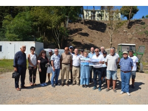 Ağaç Kesimine Stk’lardan Tepki Geldi