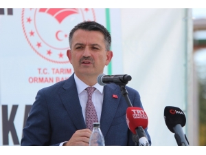 Bakan Pakdemirli: "Pancar Şekeri Satışında 2018 - 2019 Yılında Yüzde 14 Artış Sağlandı"