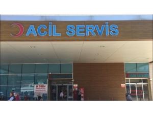 Küstüm Çiçeğinin Yaprağından Yiyen Çocuk Zehirlendi