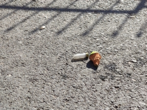 Okul Önünde Pompalı Maganda Dehşeti