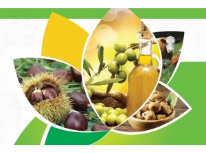 Aydınlı Çiftçiye 55 Milyonluk Organik Ve İyi Tarım Desteği