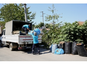 Budama Atıkları Yeniden Toprağa Kazandırılıyor