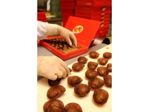 Kafkas Kestane Şekeri’nde Konkordato Süreci Kaldırıldı, Şirket Yoluna Devam Ediyor