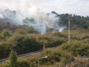 Nükleer Araştırma Merkezi’nde Ağaçlık Alanda Yangın