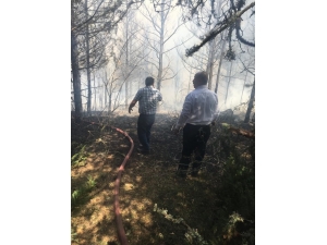 Kızılcahamam Üyücek Yaylasında Yangın