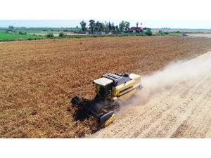 Stratejik Ürün "Soya" Destek Bekliyor