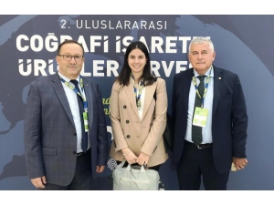 Aydın Kestanesi Zirvede