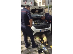 Aracın Motoruna Sıkışan Kediyi Kurtarma Operasyonu Kamerada