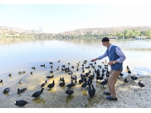 Başkent’te Yürümenin Yaşı Yok