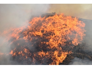 Orman Yangınları Erken Uyarı Sistemiyle Engellenecek