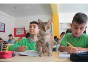 Derste Öğrenci, Teneffüste Anne