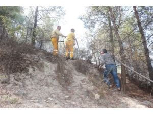 Adıyaman’da, Korkutan Orman Yangını