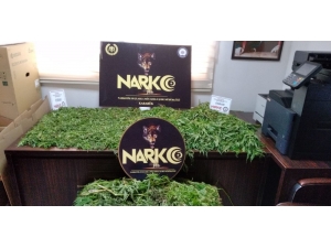 Karabük’te 4 İlçede Uyuşturucu Operasyonu: 43 Kişiden 7’si Tutuklandı