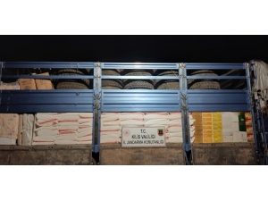 Kilis’te Kaçakçılık Operasyonu