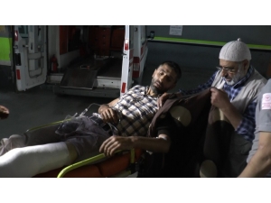 Ayı Saldırısına Uğrayan Yaşlı Adam Hayatını Kaybetti