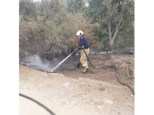 Kıyı Yangını Ormana Sirayet Etmeden Söndürüldü