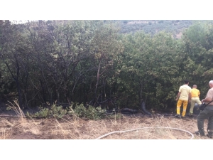 Balıkesir’de Çıkan Orman Yangını 200 Metrekarede Kontrol Altına Alındı