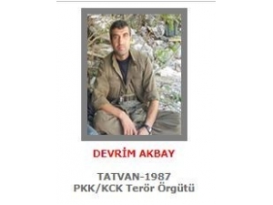 Gri Kategoride Aranan Terörist Bitlis’te Etkisiz Hale Getirildi