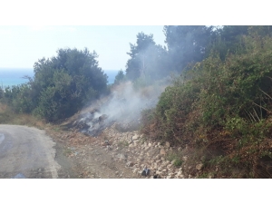 Samandağ’da Kuru Ot Yangını Korkuttu