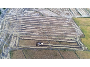 "Çeltik Hasadı"nda Hedef 350 Ton