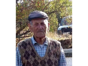 Yaraladığı Domuzun Saldırısına Uğradı