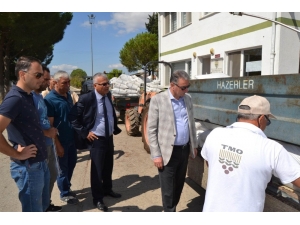 Tmo Genel Müdürü Güldal, Net Konuştu: “Üzümün Değerini Düşürmeye Çalışanlara Fırsat Vermeyeceğiz”