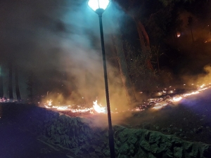Adana’da Tarihi Kozan Kalesi Eteklerinde Yangın