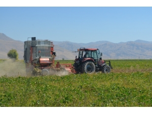 Pancar Çiftçisi Verilen Fiyatlardan Memnun