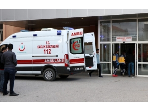 Erzincan’da Muhtarlık Kavgası: 4 Yaralı