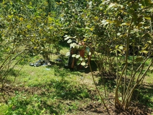 Aracıyla 60 Metreden Dereye Yuvarlandı: 1 Ölü