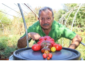 Bir Buçuk Dönüm Alanda Bin Bir Çeşit Ürün Yetiştiriyor