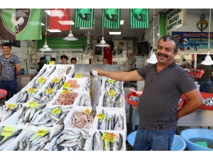 Denizli’de Balık Fiyatları Uygun Olunca İlgi De Büyük Oldu