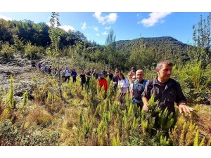 Dağcılardan Doğa Yürüyüşü