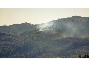 Suriye Sınırında Orman Yangını