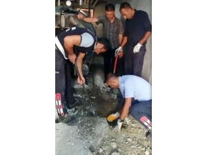 Yavru Kedi Mahsur Kaldığı Yerden Saatler Sonra Çıkarılabildi