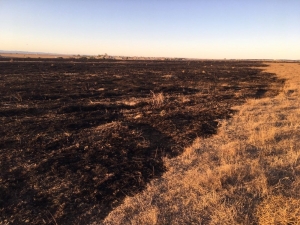 300 Dönümlük Mera Yangında Kül Oldu