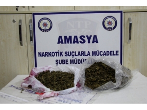 Amasya’da Uyuşturucu Operasyonu 3 Tutuklama