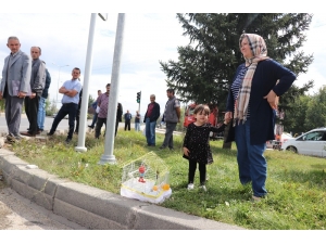 Bolu’da, Trafik Kazası: 1 Yaralı