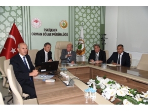 Büyük Ağaçlandırma Etkinliği İçin Hazırlıklar Başladı